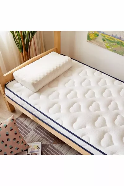 Matelas orthopédique complet simple (Vérifiez les dimensions)