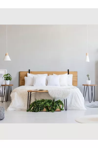 Tête de lit avec support de coussin décoratif en cuir - 2 pièces cm sangle