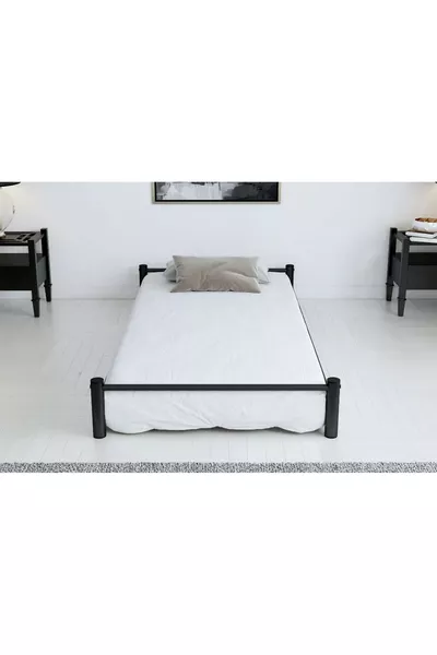 Cucciolo di Ranza Nero
